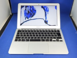 RIMG3256-300x225